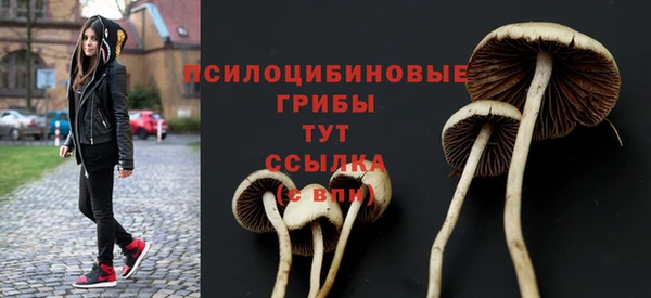 ПСИЛОЦИБИНОВЫЕ ГРИБЫ Богданович