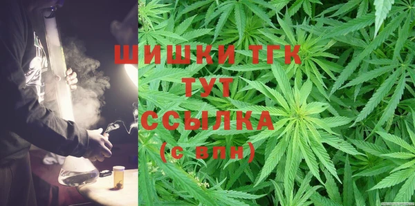ПСИЛОЦИБИНОВЫЕ ГРИБЫ Богданович