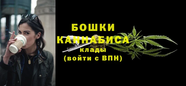 ПСИЛОЦИБИНОВЫЕ ГРИБЫ Богданович