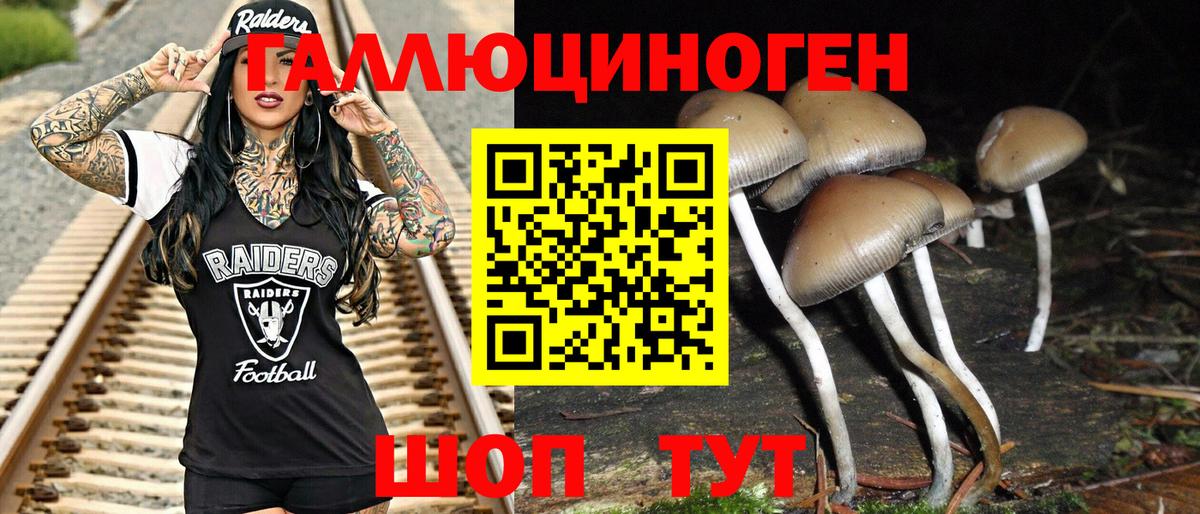 Псилоцибиновые грибы ЛСД Среднеуральск