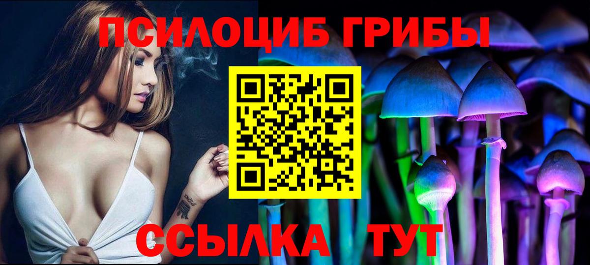 Галлюциногенные грибы ЛСД  как найти закладки  Среднеуральск  Вход с VPN  Галлюциногенные грибы Psilocybine cubensis 
